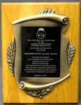 Award for Leadership as a Sponsor for Legislation by Florida International Bankers Association