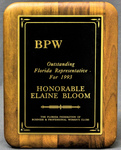 Award for Outstanding Florida Representative by The Florida Federation of Business and Professional Women's Clubs