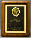 Special Legislative Merit Award by The Florida Bar