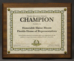 Florida Attraction Industry Champion by Florida Attractions Association