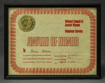 Award of Honor by National Council of Jewish Women