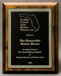 Award for Outstanding Support of Citizen Review of Foster Care by Florida Foster Care Review Project, Inc.