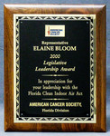 2000 Legislative Leadership Award by American Cancer Society