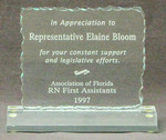 Award of Appreciation by Association of Florida, RN First Assistants
