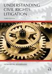 Understanding Civil Rights Litigation, Third Edition by Howard Wasserman